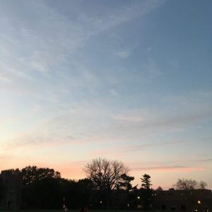 img_0433