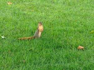 img_0443
