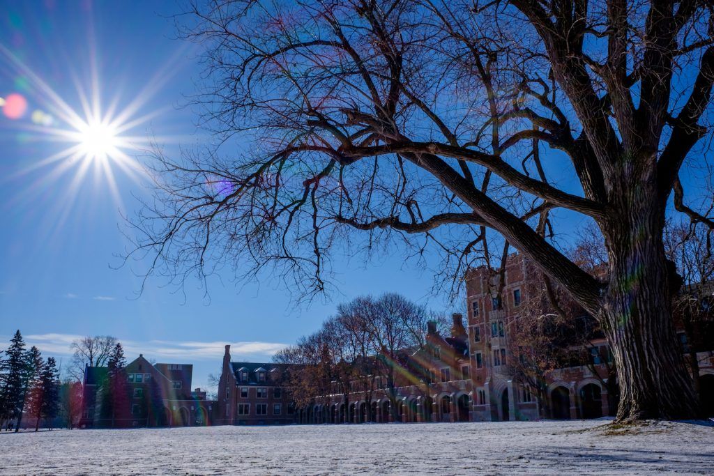 12月に入って最低気温-10℃の世界に突入