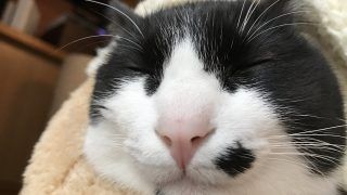 初めまして。おかも、始めました。