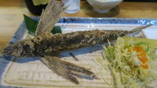グリネルの夏休みは３か月　あなただったらどう過ごす？