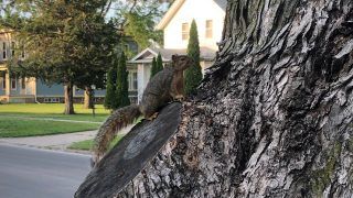 数学の研究って何をやるの？