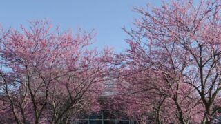 グリネル最終学期〜研究、授業、進路〜