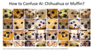 リベラルアーツカレッジで学ぶComputer Vision：CS選択科目の体験記