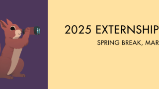 春休みのExternship Programって？